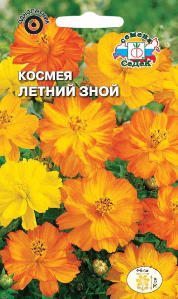 Космея Летний зной (Седек) Ц