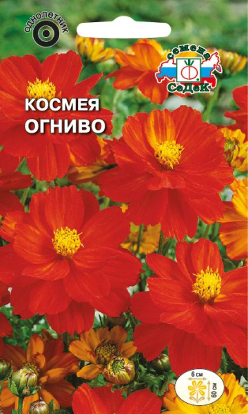 Космея Огниво серно-желтая (Седек) Ц