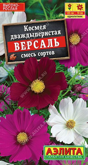 Космея Версаль смесь окрасок (Аэлита) Ц