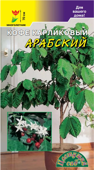 Кофе Арабский (Цветущий Сад) Ц