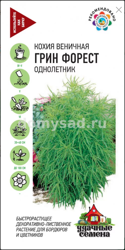 Кохия веничная Грин Форест 0,2г ХИТ удачные семена (Гавриш) Ц