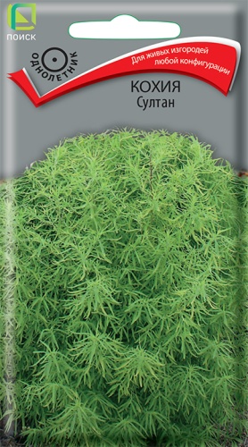 Кохия Султан (Поиск) Ц