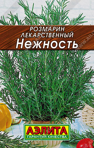 Розмарин Нежность (Аэлита) ЛИДЕР