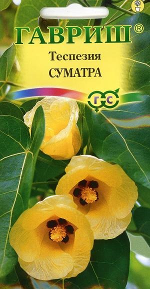 Теспезия Суматра (Гавриш) Ц