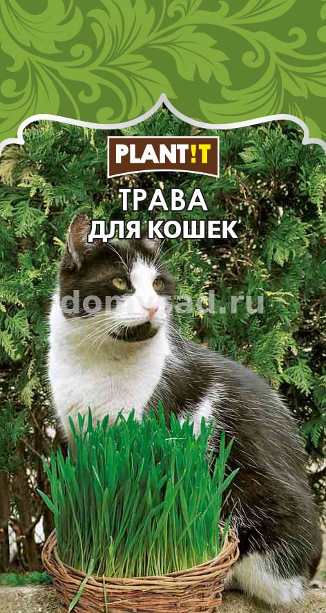 Трава для Кошек 10гр. (PLANT!T) Ц