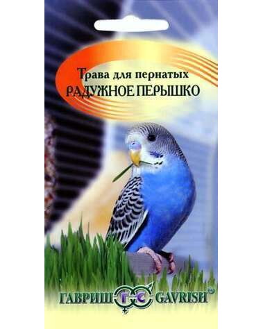 Трава для пернатых Радужное перышко (Гавриш) Ц