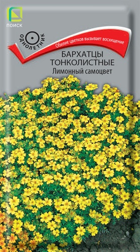 Бархатцы Лимонный самоцвет тонколистные (Поиск) Ц