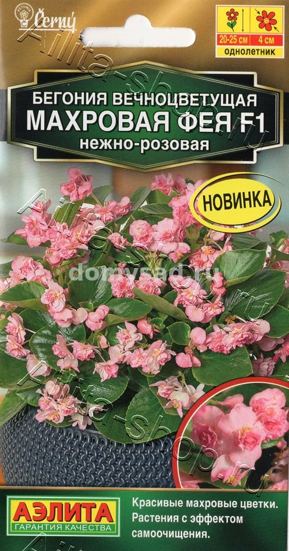 Бегония вечноцветущая махровая Фея F1 нежно-розовая (Аэлита) Ц