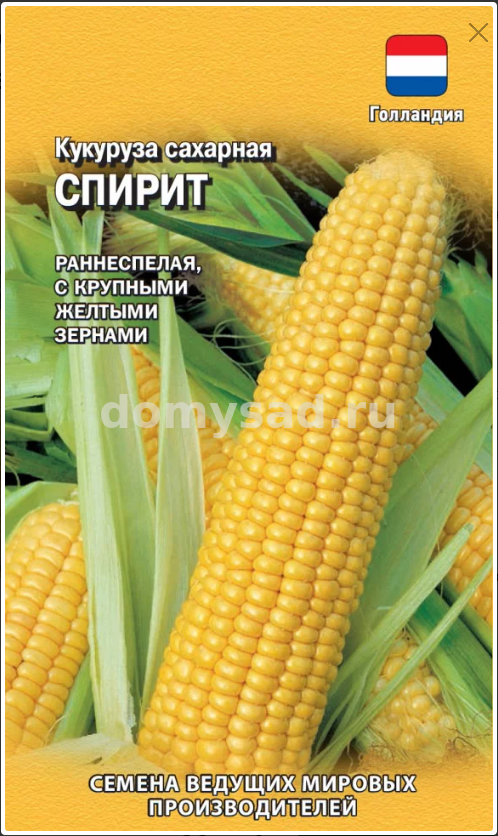 Кукуруза Спирит Сахарная 15шт. Голландия (Гавриш) Ц