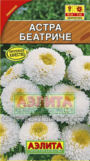 Куфея Звездочка (Аэлита) Ц