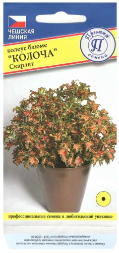 Колеус Колоча Скарлет 5др (Престиж Семена) Ц