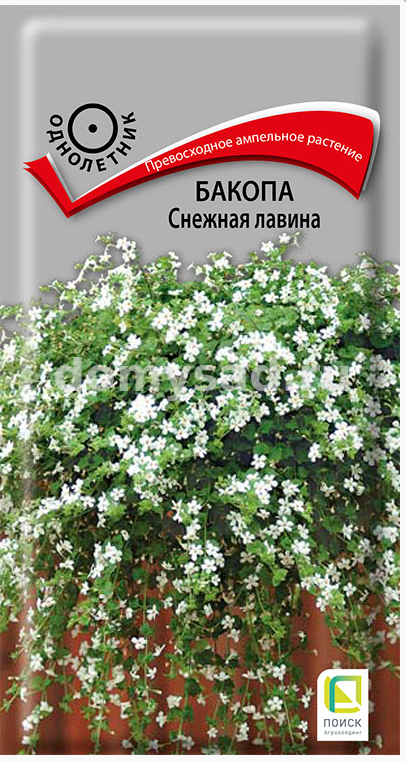 Бакопа Снежная лавина (Поиск) Ц