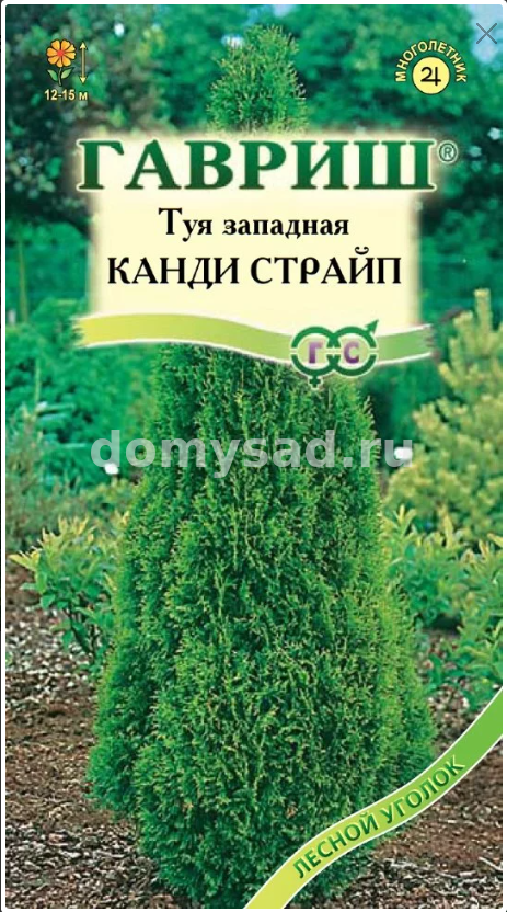 Туя западная Канди Страйп 0,05г. (Гавриш) Ц