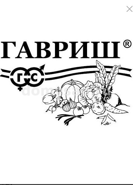 Тыква Грибовская зимняя (Гавриш) Б