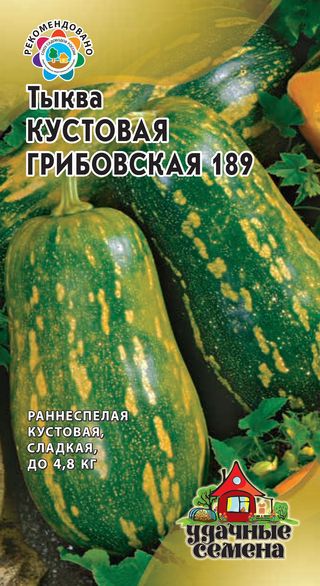 Тыква Грибовская Кустовая *Удачные семена (Гавриш) Ц