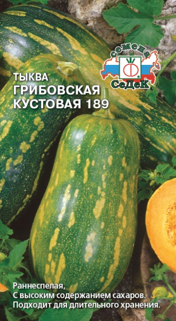 Тыква Грибовская Кустовая 189 (Седек) Ц