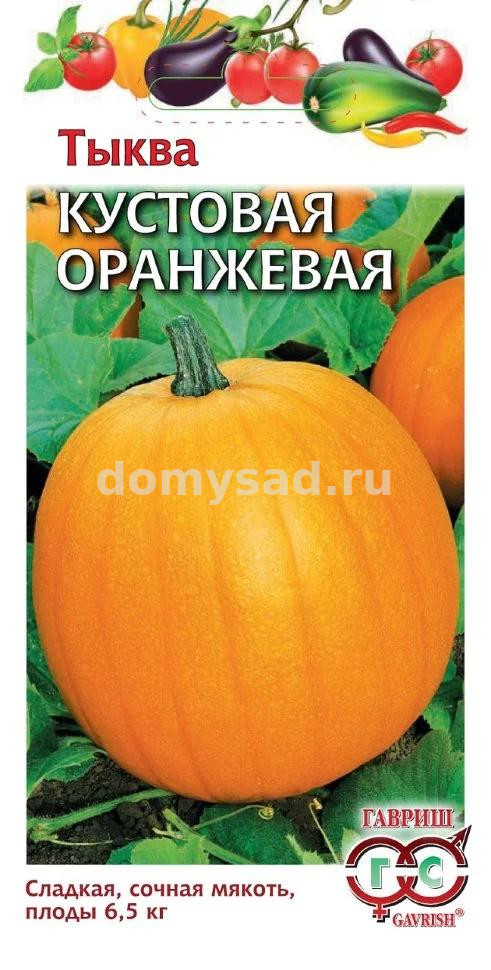 Тыква Кустовая оранжевая (Гавриш) Ц