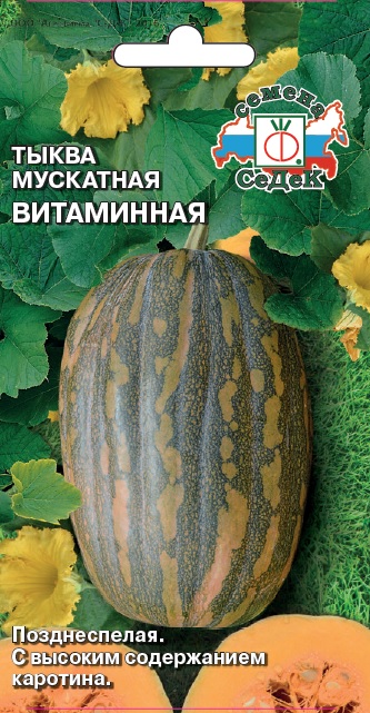 Тыква мускатная Витаминная (Седек) Ц