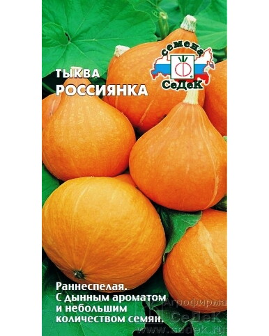 Тыква Россиянка (Седек) Ц