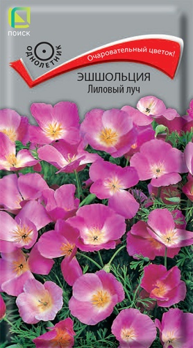 Эшшольция Лиловый луч (Поиск) Ц