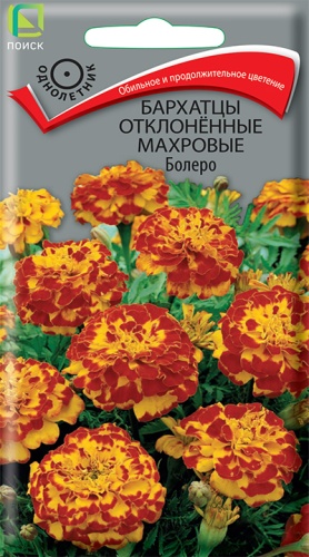Бархатцы Болеро махровые отклоненные (Поиск) Ц