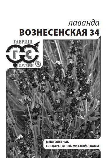 Лаванда узколистная Вознесенская 34 (Гавриш) Б