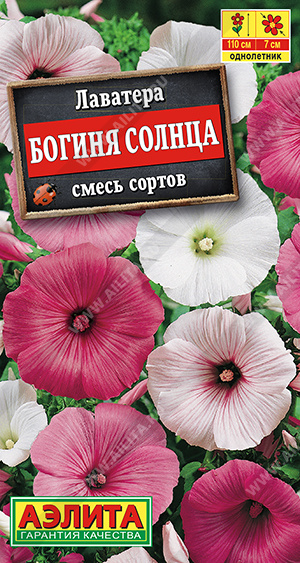 Лаватера Богиня солнца смесь (Аэлита) Ц