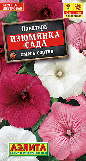 Лаватера Изюминка сада, смесь окрасок (Аэлита) Ц