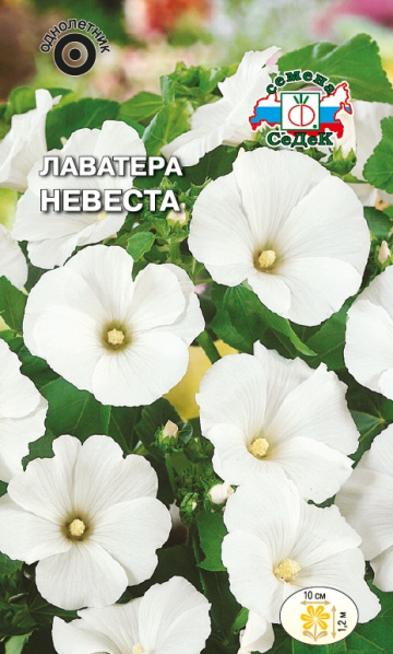 Лаватера Невеста белая (Седек) Ц