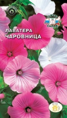 Лаватера Чаровница смесь цветов (Седек) Ц