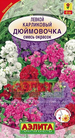 Левкой карликовый Дюймовочка смесь окрасок (Аэлита) Ц