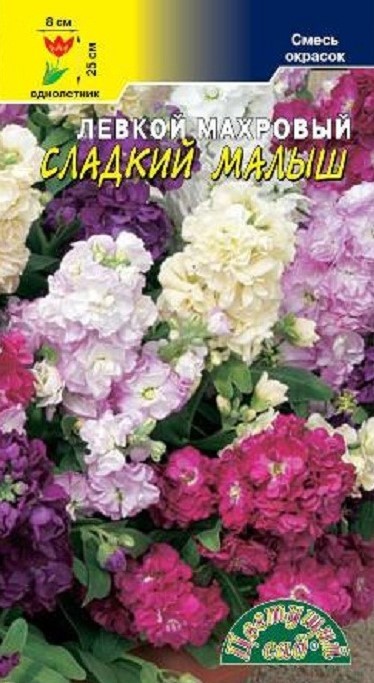 Левкой Сладкий Малыш СМЕСЬ низкор. махровая (Цветущий Сад) Ц