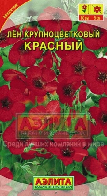 Лен крупноцветковый Красный (Аэлита) Ц