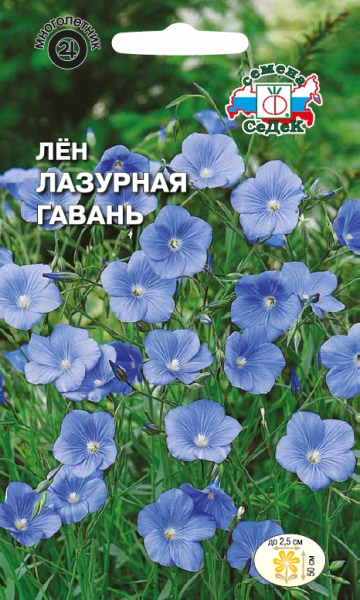 Лен многолетний Лазурная гавань голубой (Седек) Ц