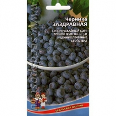 Тюльпаны Блю Бьюти 5шт. 11/12