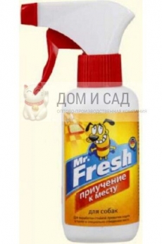 Тюльпаны Иоган Штраусс 7шт. ВХ