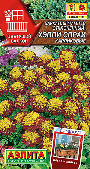 Бархатцы карликовые Хэппи спрай (Аэлита) Ц