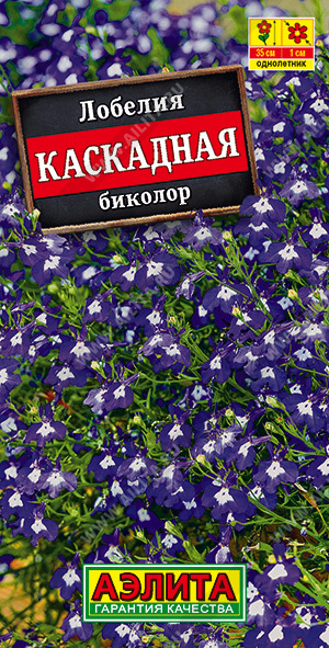 Лобелия каскадная Биколор (Аэлита) Ц