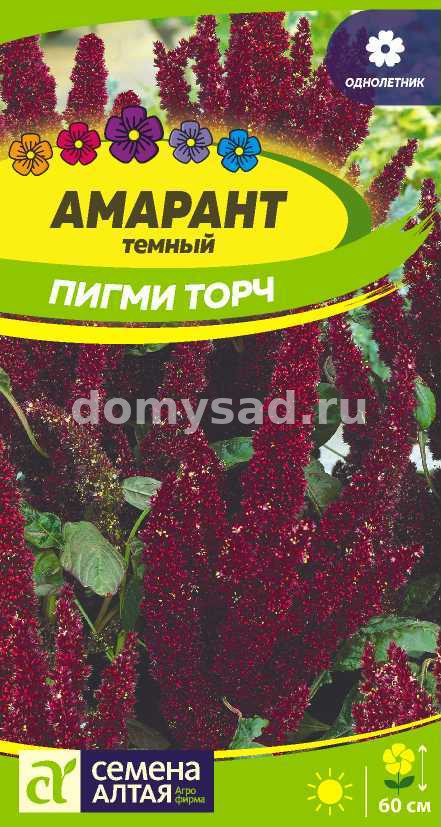 Амарант Пигми Торч темный (Семена Алтая) Ц