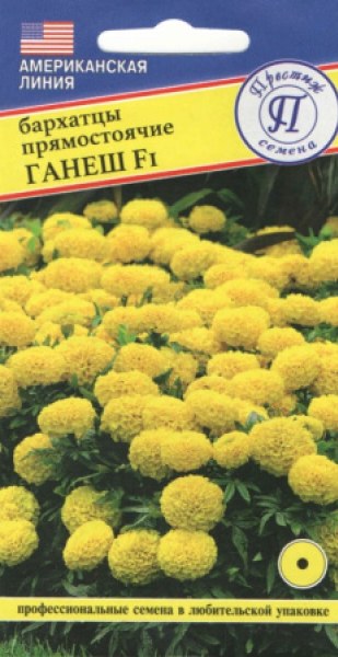 Бархатцы Ганеш прямостоячие F1, 5шт. (Престиж Семена) Ц