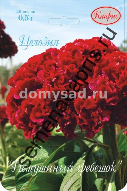 Целозия Петушиный Гребешок НАБОР 20 ПАЧЕК (Каприс)