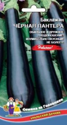 Лилия ГОЛДЕН ТАЙКУН Азиат.гибр-3шт.Л66840