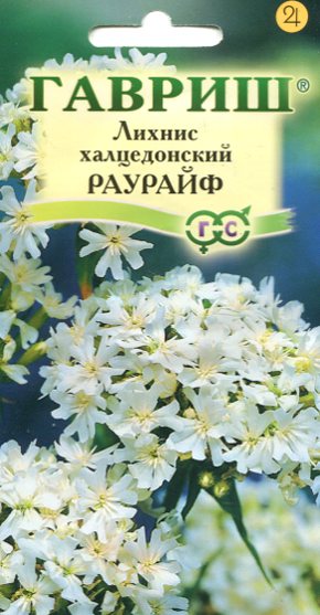 Лихнис Халцедонский Раурайф (Гавриш) Ц