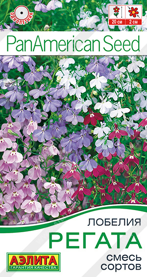 Лобелия ампельная Регатта смесь окрасок (Аэлита) Ц