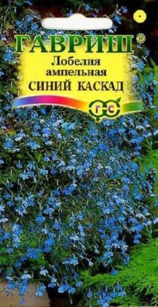 Лобелия ампельная Синий каскад 0,01гр. (Гавриш) Ц