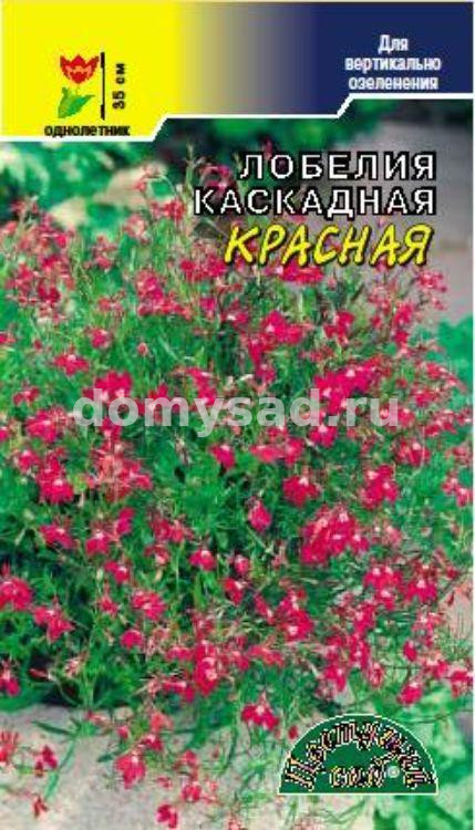 Лобелия каскадная Красная (Цветущий Сад) Ц