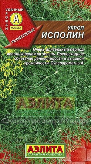 Укроп Исполин (Аэлита) Ц