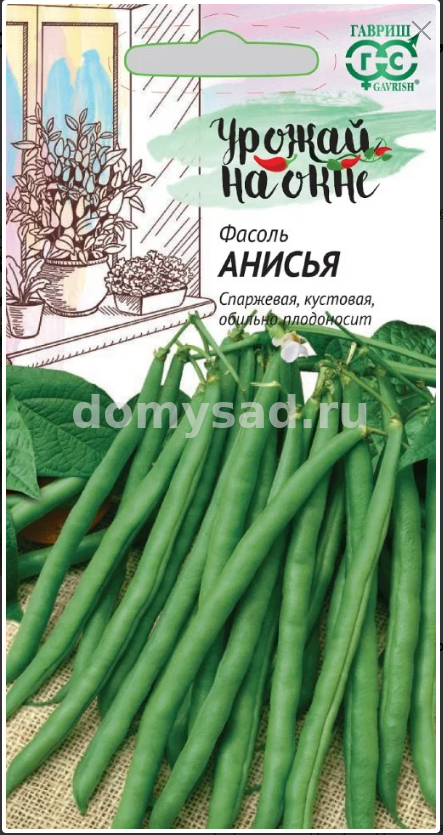 Фасоль Анисья 5гр. СПАРЖЕВАЯ,КУСТОВАЯ,ЗЕЛЕНАЯ Урожай на окне (Гавриш) Ц