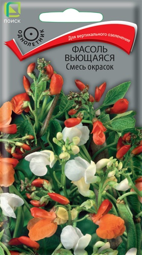 Фасоль вьющаяся Смесь окрасок 5шт. (Поиск) Ц
