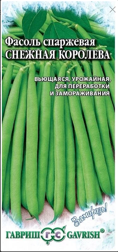 Фасоль Снежная королева 5гр. СПАРЖЕВАЯ, ЗЕЛЕНАЯ Заморозь (Гавриш) Ц